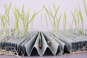 Keimprüfpapier 3236, grau, 110 g/qm, plissiert, 110 mm x 2 m, 50 D.f. 20 mm